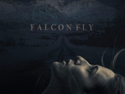 Read more about the article VIDEO: The Flights – ‘Falcon Fly’