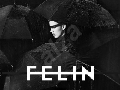 Read more about the article VIDEO: Felin – ‘Gossip’