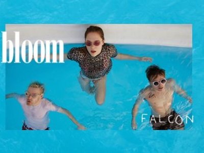 Read more about the article SONG: Off Bloom – ‘Falcon Eye’