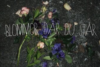 INTRODUCING: Gammal – ‘Blommor Där Du Står’