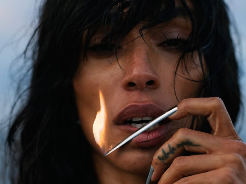 Read more about the article Loreen – ‘Wildfire’